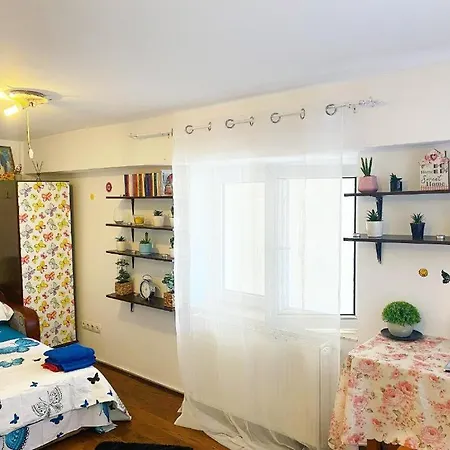 Apartmán Andu Bukurešť